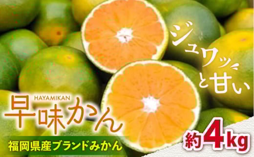 【9月中旬より発送】福岡産ブランド みかん 早味かん 約4kg＜南国フルーツ株式会社＞那珂川市 [GCD024]