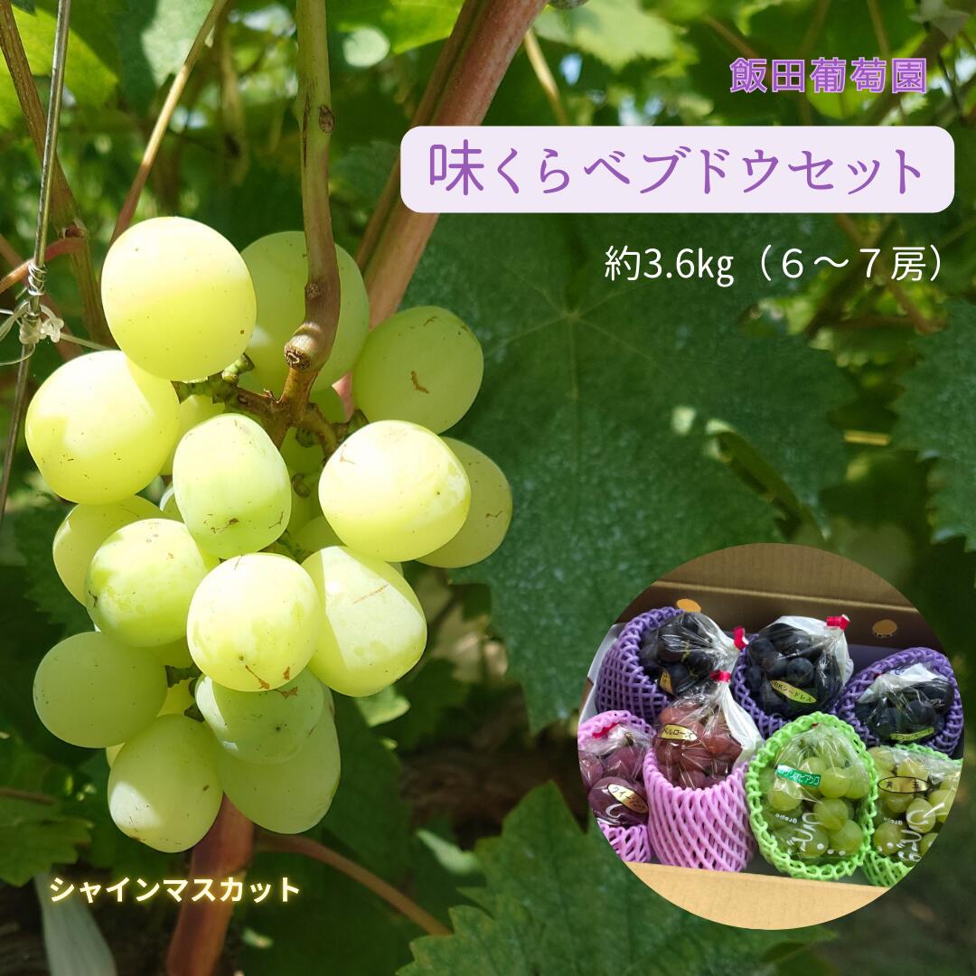 【ふるさと納税】【先行予約】味くらべ ブドウ セット 3.6kg ( シャインマスカット と 旬のぶどう ) ぶどう 葡萄 ※2025年8月下旬～10月中旬頃に順次発送予定 ※沖縄・離島への配送不可