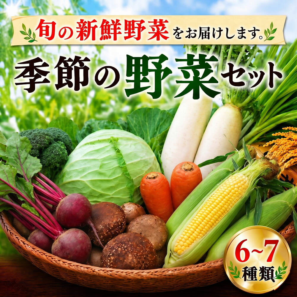 【ふるさと納税】 季節の野菜セット 6～7種 詰合せ 約3～5kg ブロッコリー キャベツ エンドウ ビーツ 人参 大根 メロン スイカ ミニ トマト ナス トウモロコシ オクラ ウリ かぼちゃ さつまいも 椎茸 白菜 キャベツ ほうれん草 小松菜 かぶ 落花生 いちご 今井農園 千葉 東金