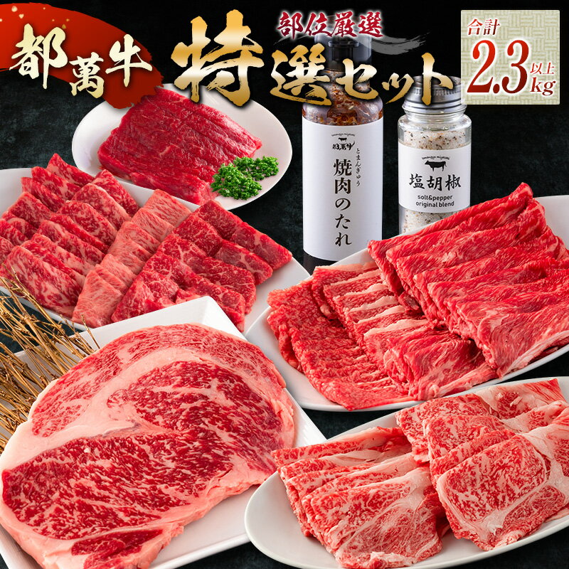 【ふるさと納税】赤身主体の黒毛和牛＜都萬牛＞部位厳選の特選セット