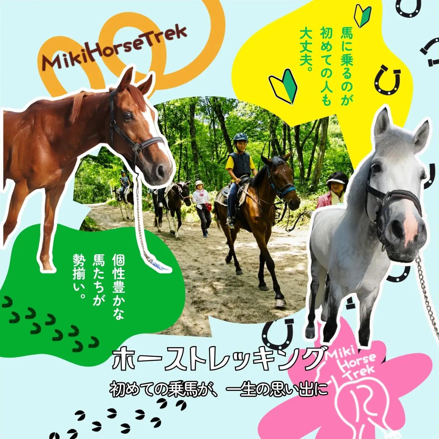 【初心者歓迎！】ホーストレッキング利用チケット