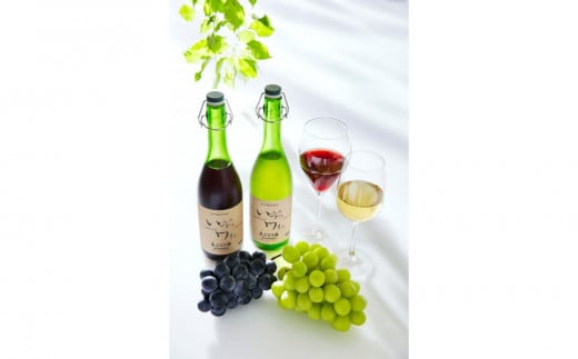 
井筒ワイン 酸化防止剤無添加 井筒生ワイン 赤・白 720ml 2本セット 要冷蔵 発売元 株式会社片山
