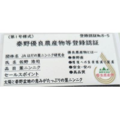 ふるさと納税 秦野市 〈2026年11月〜発送〉秦野農産物等登録認証取得　葉ニン二ク約500g from 名水の里 秦野 |  | 01