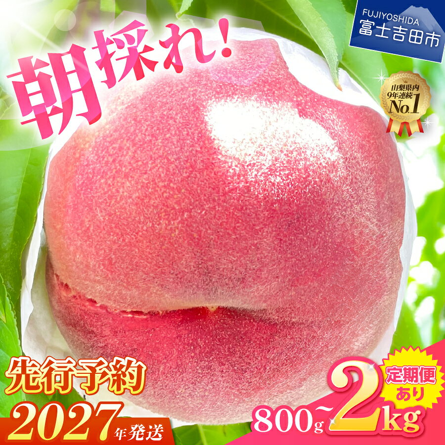桃 山梨 朝どれ もも 2kg 大玉5玉～7玉 くだもの フルーツ 山梨県 産地直送 モモ