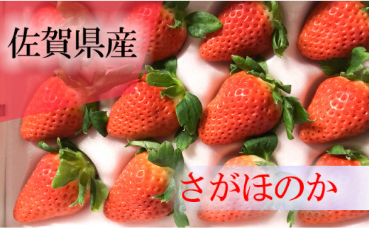 
【佐賀県産】さがほのか約350g(9～18粒)
