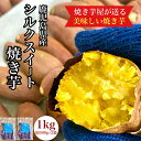 【ふるさと納税】 鹿児島県産 さつまいも シルクスイート 焼き芋 1kg(500g×2袋) いも 芋 さつま芋 蜜芋 シルクスイート 焼き芋 スイーツ【株式会社憲】