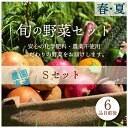 【ふるさと納税】都内マルシェで人気のお野菜！ 《先行予約》春夏 旬の野菜セットSサイズ(6品前後) F21R-213