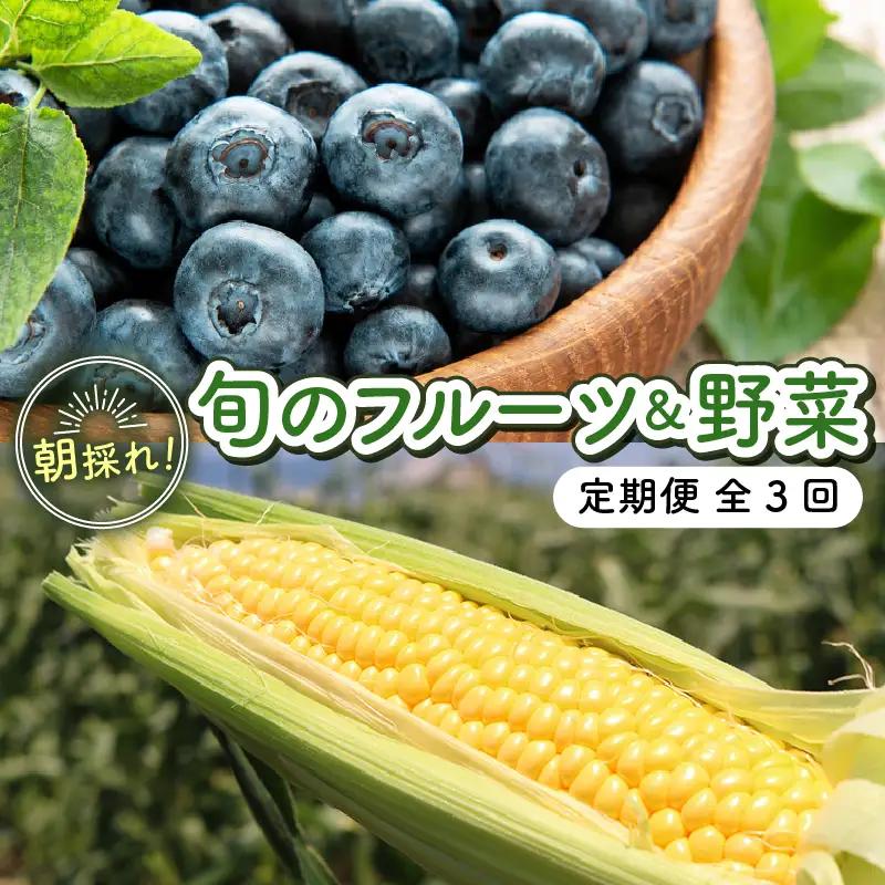 【全3回定期便】完熟 生ブルーベリー（サザンハイブッシュ系・ラビットアイ系）各600g スイートコーン 1.7kg (約5本)