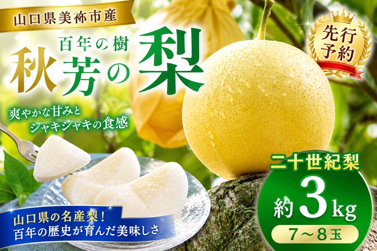 
                  二十世紀梨 （約3kg）【先行予約：9月上旬より発送予定】｜ 二十世紀  なし 梨 フルーツ 特産品 美祢市 美祢 山口県 山口 秋芳町 秋芳 カルスト台地 先行予約
                