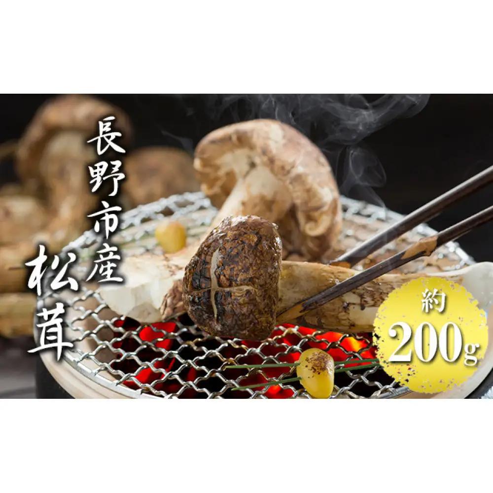 長野市収穫　松茸　約200g（2～3本） | 松茸