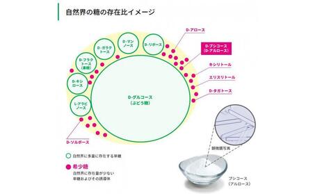 【焙煎元 和樂】カフェオレベース 600ml×2本セット(希少糖含有シロップ使用)【コーヒー 希少糖 レアシュガー ギフト 香川県 さぬき市】
