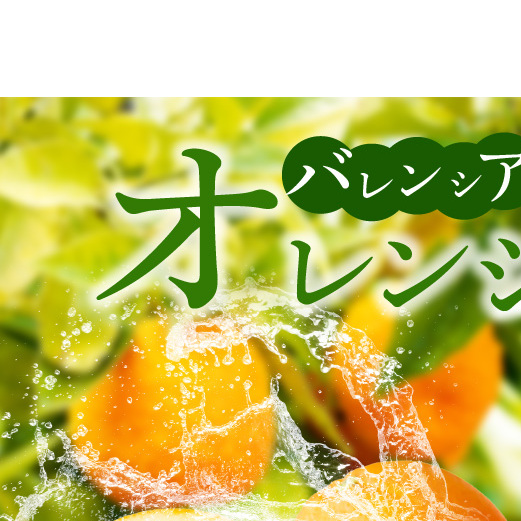 【2027年先行予約】希少 国産 秀品 バレンシアオレンジ 5kg 果汁 豊富 糖度 高い 甘い 爽快感 香り 酸味 味わい スッキリ 栄養補給 柑橘 オレンジ 果物 フルーツ 果実 食品 食べ物 