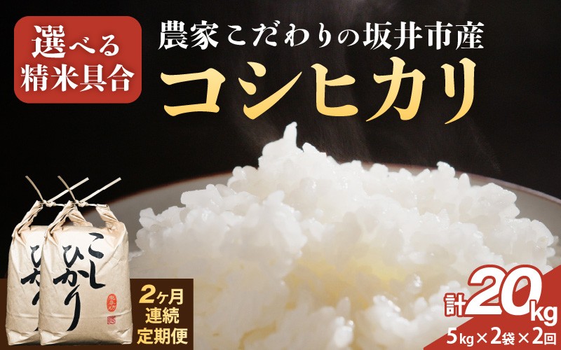 
            定期便 ≪2ヶ月連続お届け≫【令和7年産】 農家こだわりの坂井市産 コシヒカリ 10kg (5kg×2袋) ×2回 (計20kg) 【選べる精米具合：白米 / 玄米】 【米 コメ お米 5キロ こしひかり ふるさと納税米 ブランド米 国産】 [G-10203]
          