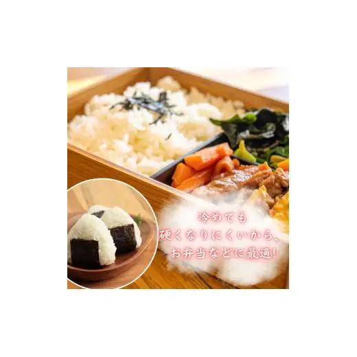 モチモチふっくら「ミルキークイーン」精米5kg ／ 米 こめ コメ お米 ご飯 ごはん ミルキークイーン 白米 精米 令和7年産 5kg 利根町 送料無料