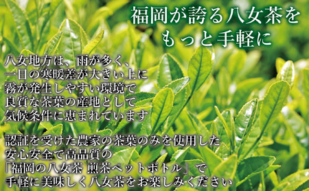 【全3回毎月定期便】八女茶 煎茶ペットボトル 500ml×24本　