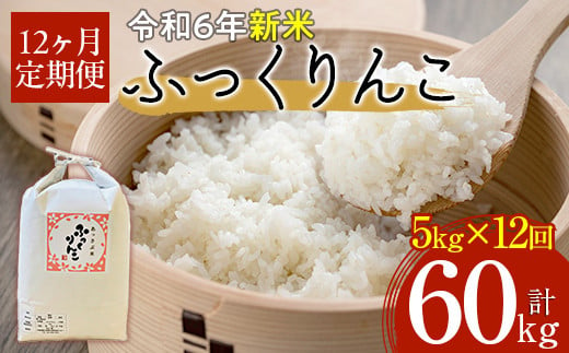 
            【令和6年産 新米】北海道厚沢部産ふっくりんこ60kg（5kg×12ヶ月連続お届け）  【 ふるさと納税 人気 おすすめ ランキング 米 ご飯 ごはん 白米 ふっくりんこ 精米 つや 粘り 北海道 厚沢部 送料無料 】 ASG033
          