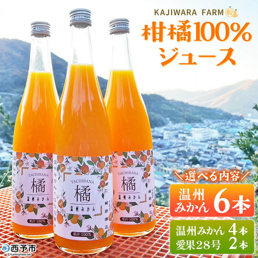 【ふるさと納税】＜柑橘100％ジュース （温州みかん6本／温州みかん4本＆愛果28号2本）＞ 選べる 温州みかん 愛果28号 紅まどんな 高級柑橘 ストレートジュース 果汁100％ ミカン 蜜柑 果物 柑橘 かじわらFARM 愛媛県 西予市【常温】『1か月以内に順次出荷予定』