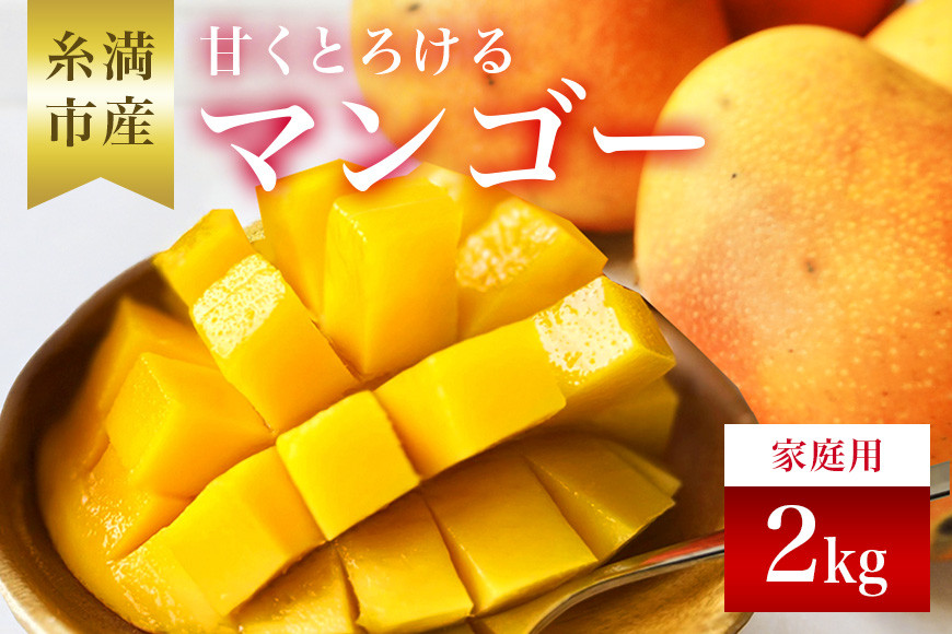 
                  【先行予約 2026年 発送】かねよしマンゴーの甘くとろける マンゴー 2kg 家庭用 沖縄県産  アップルマンゴー アーウィンマンゴー 国産 完熟マンゴー 果物 南国 くだもの フルーツ 完熟 夏 旬 特産品 沖縄 お取り寄せ お土産 甘い 濃厚 糸満市 
                