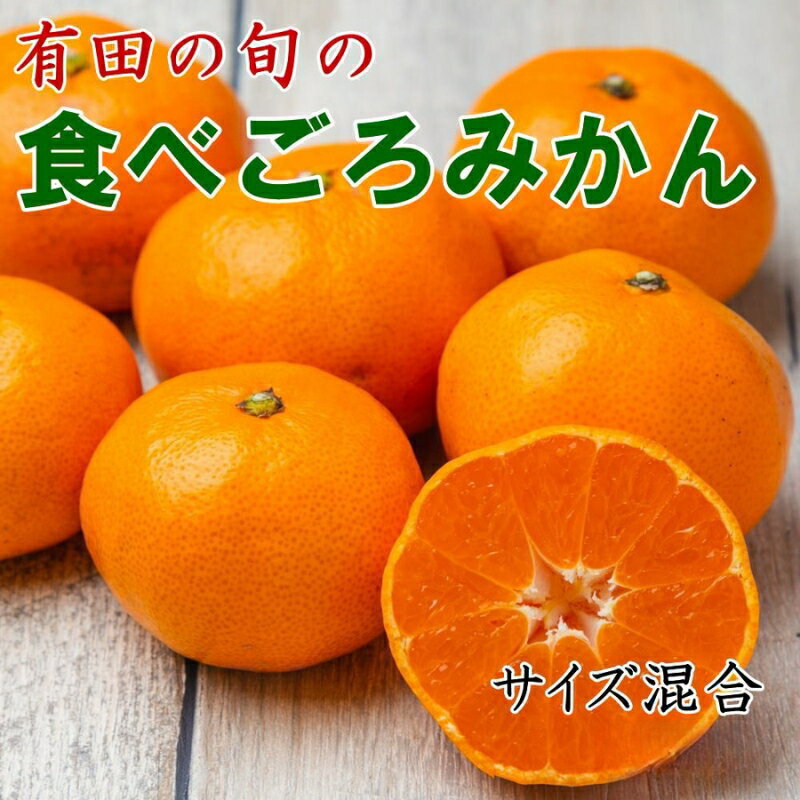 【ふるさと納税】 【先行予約】有田の旬の食べごろみかん（サイズ混合）【容量が選べる】※2026年11月下旬～2027年1月中旬頃順次発送(お届け日指定不可)
