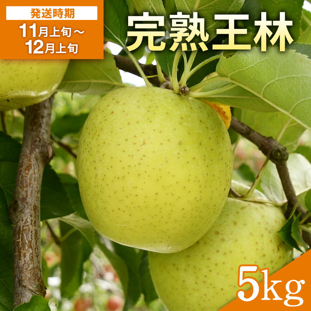 【ふるさと納税】完熟王林 5kg 林檎 果物 フルーツ【田村果樹園】[B3-108020]