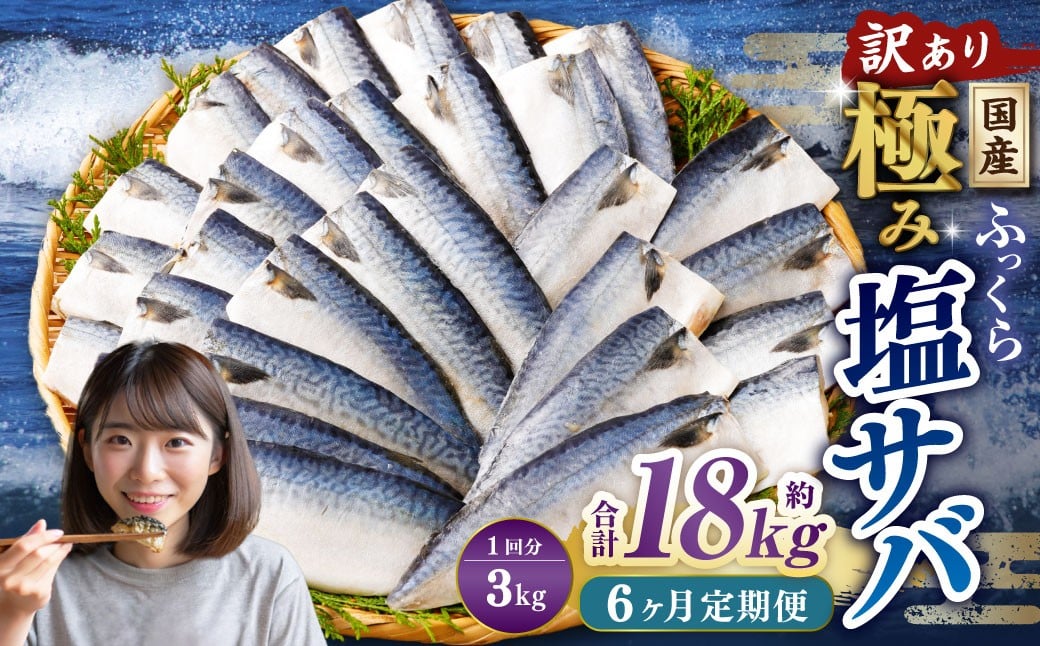 
            【6ヶ月定期便】【訳あり】国産 ふっくら 極み塩サバ 計約3kg ／ 1切れ 塩サバ 塩さば 塩鯖 さば サバ 鯖 魚
          