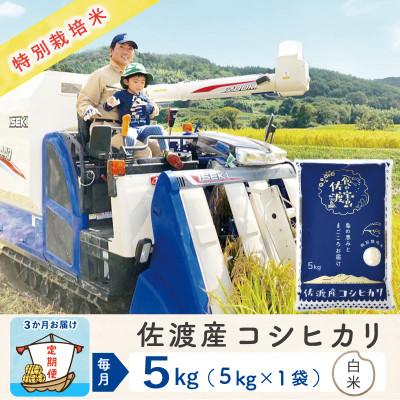 ふるさと納税 佐渡市 【毎月定期便】佐渡島産コシヒカリ 白米5Kg 特別栽培米 農家直送全3回