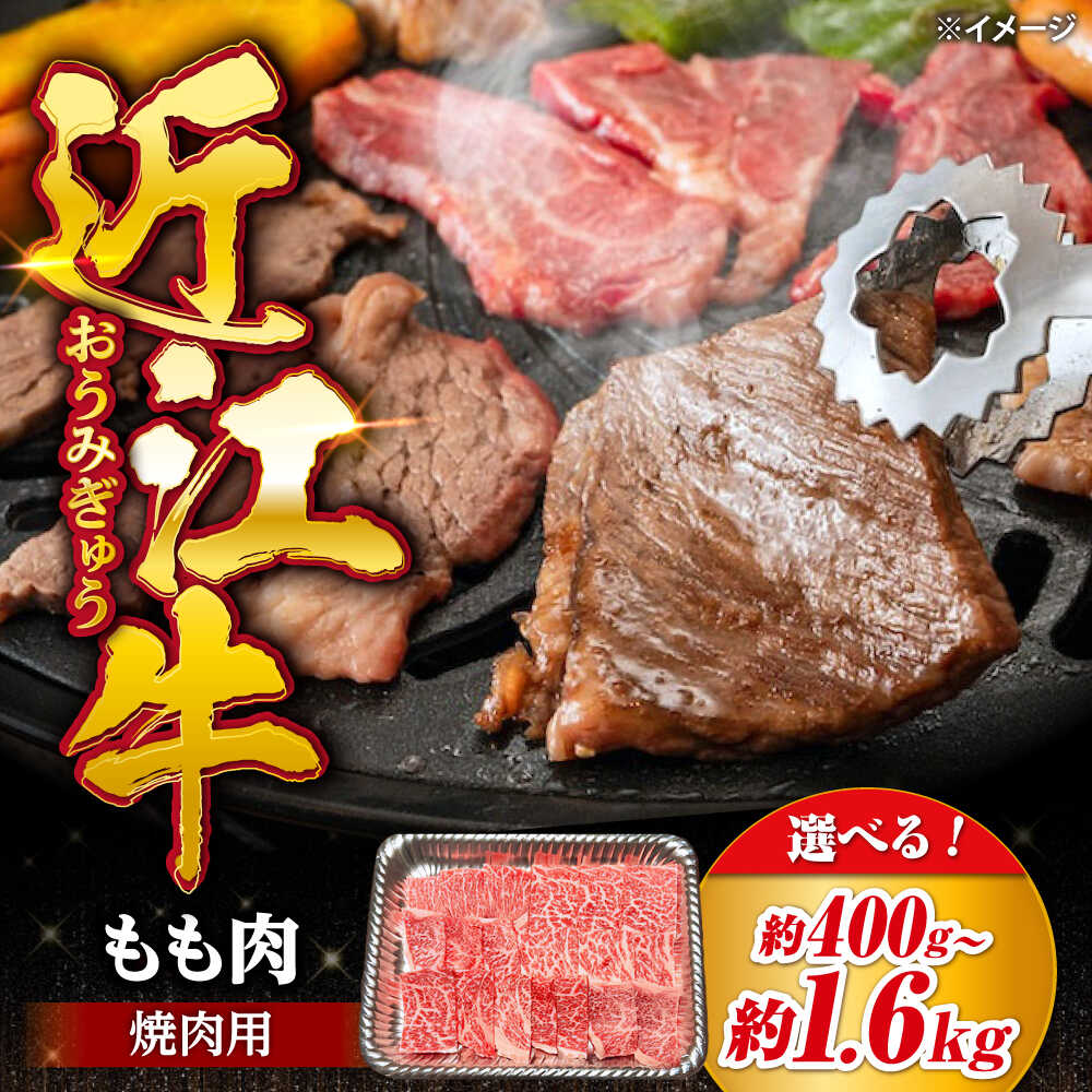 【ふるさと納税】【選べる容量】近江牛 焼肉用 もも肉 400g 800g 1.2kg 1.6kg 滋賀県長浜市/有限会社旭ミイト[AQDB019] 牛肉 近江牛 モモ 焼肉 焼き肉 BBQ 国産牛 和牛 ブランド牛 日本三大和牛 人気 おすすめ 贈答用 ギフト 冷凍