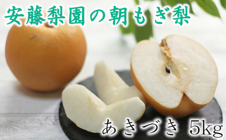 白岡　安藤梨園の朝もぎ梨　あきづき　約5kg　【11246-0054】