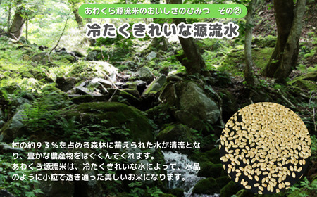 令和7年産新米先行予約・9月ごろよりお届け開始》【6回定期便】白米 10kg 令和7年産 コシヒカリ 岡山 あわくら源流米 K-ag-CEZA