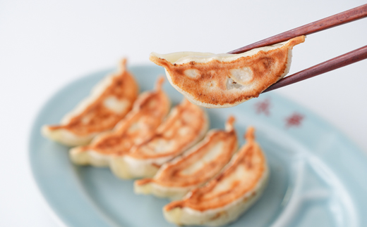 【佐野餃子(中)肉餃子24個4人前】×2袋と【濃縮佐野ラーメン】6人前【配送不可地域：離島・沖縄県】