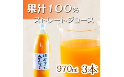 
果汁100％田村そだちみかんジュース　970ml×3本
