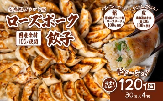ローズポーク餃子 ドドーンと 120個 ( 冷凍 30個 × 4袋)【 茨城県産  ローズポーク 豚肉 キャベツ 北海道産小麦 春よ来 使用 もちもち ぷりぷり 皮 ギョウザ ギョーザ チャオズ 中華 餃子人気 飲茶 10000円 1万円 】 [SZR]