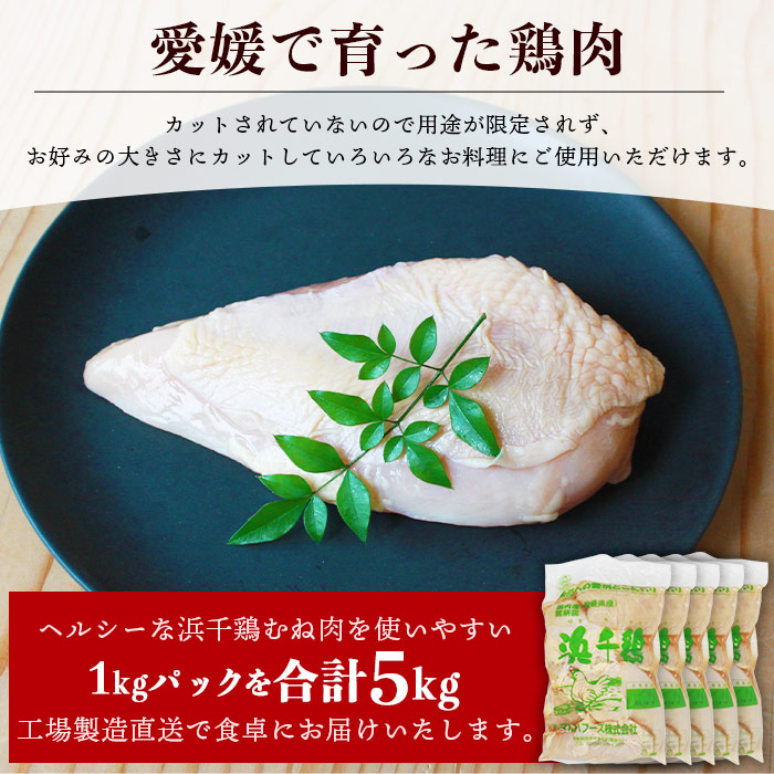 ＜銘柄鶏 浜千鶏 愛媛県産 若鶏むね肉 5kg（1kg×5）＞ 国産 鶏肉 鳥肉 とり チキン むね肉 ムネ はまちどり 精肉 にく ブロック 料理 アレンジ 夕飯 夕食 お弁当 昼食 唐揚げ から揚
