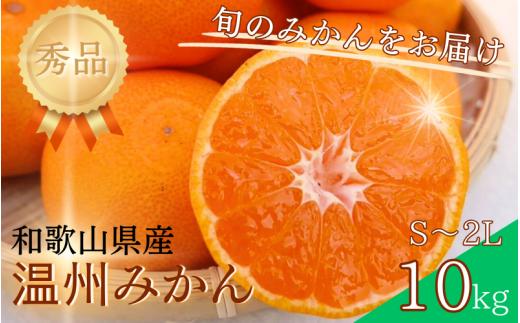 【S~2Lサイズおまかせ】秀品 季節のみかん(極早生・早生・中生・晩稲) 10kg 【2025年10月中旬～2026年2月下旬までに順次発送】＜味好農園＞/みかん 蜜柑 柑橘 フルーツ 果物 極早生 