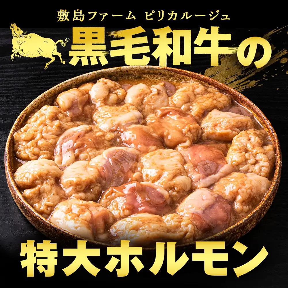 白老産黒毛和牛 味噌焼肉用MIXホルモン 1.2kg (400g×3パック)  7日営業日以内発送 CK011