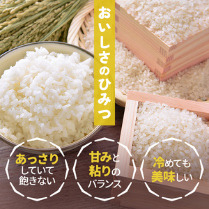 米 新米 和歌山県産 ひのひかり 5kg(2025年産) 【agy040】