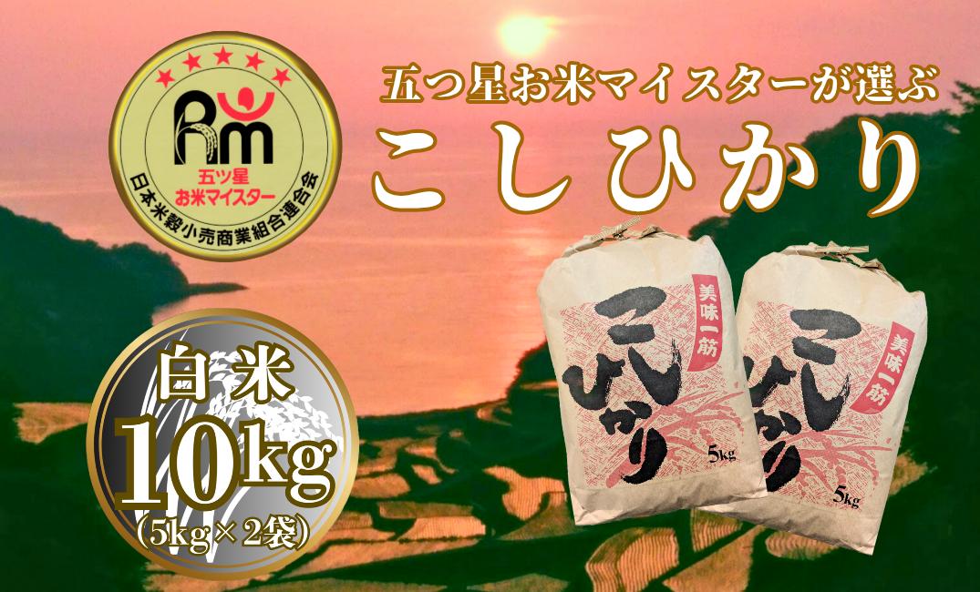 
            大塚米穀店 コシヒカリ 白米 10kg（5kg×2袋）
          