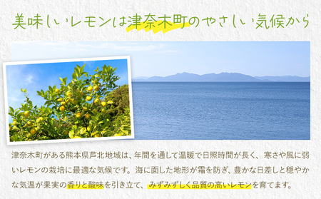 レモン 訳あり 3kg レモン