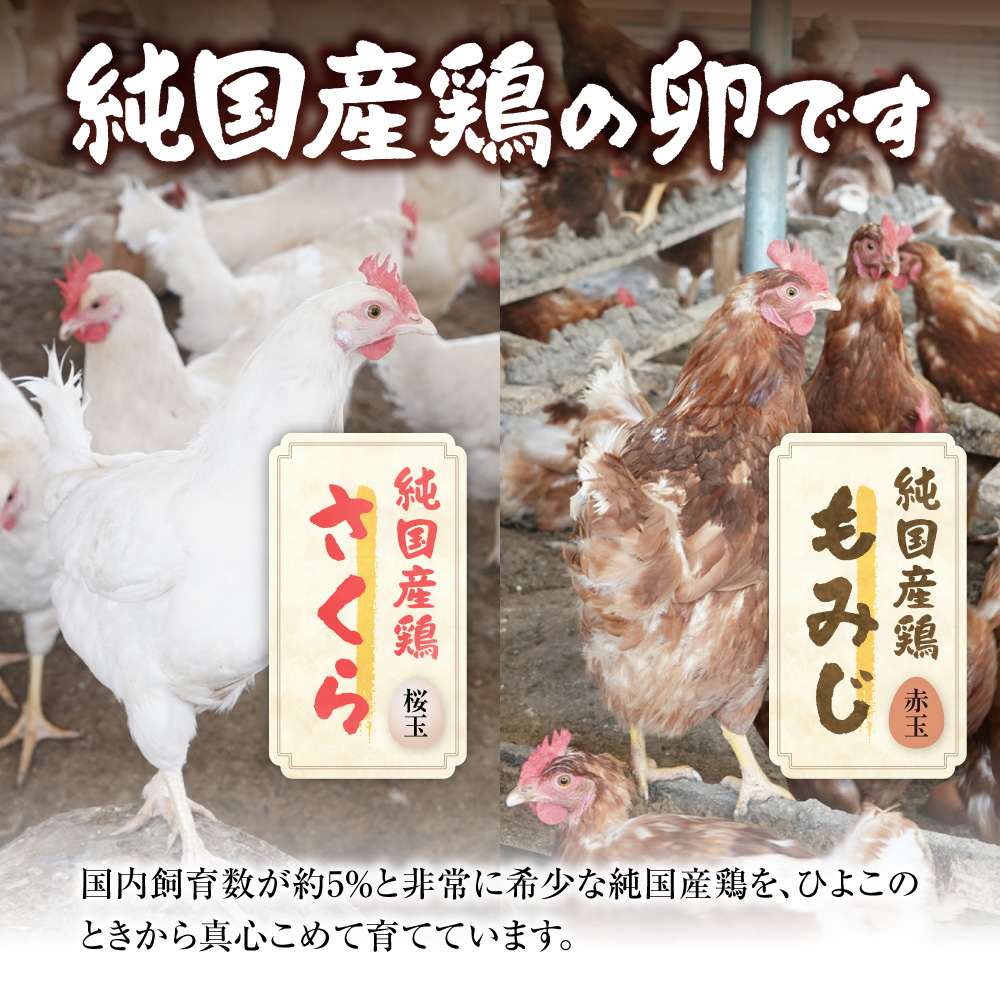 紅たまごと黄金卵 各30個セット_tb62-003
