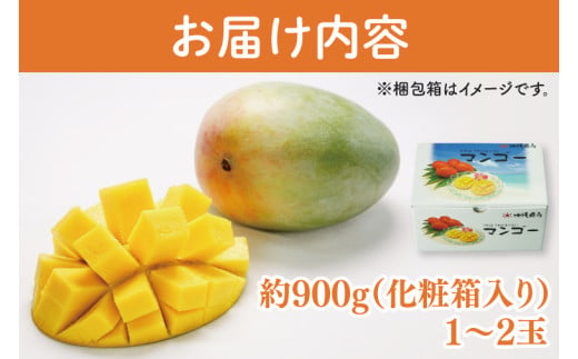【2026年8月より順次発送】菜々色畑のキーツマンゴー 1～2玉(約900g)【化粧箱】｜マンゴー キーツマンゴー フルーツ 果物 くだもの おきなわマンゴー 先行予約 ギフト 贈り物 化粧箱入り 沖
