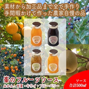 手づくりジャムソース 4本セット 手作りみかん キウイ あまなつ ブルーベリー 125ml 詰め合わせ ギフト 【 家庭用 自宅用 贈答品 贈答用 ギフト お取り寄せ お中元 お歳暮 贈り物 お祝い 神奈川県 小田原市 ジャム ジャム ジャム ジャム ジャム】
