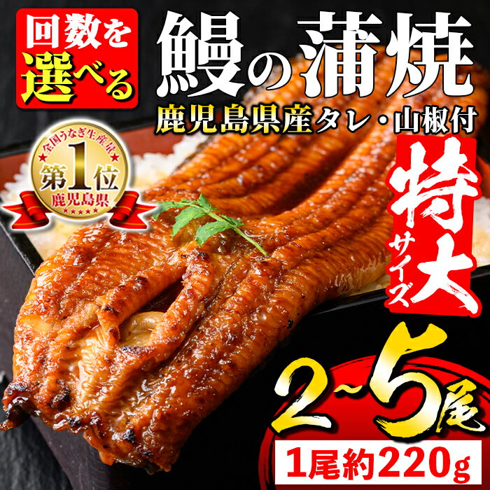【ふるさと納税】＼特大サイズ／ 鹿児島県産 鰻蒲焼真空セット！( 1尾あたり約220g・2尾 or 3尾 or 5尾 ) タレ・山椒付！ 鹿児島 九州産 国産 うなぎ ウナギ 鰻 土用の丑の日 蒲焼き うな重 ひつまぶし 定期便 隔月 1ヶ月おき 冷凍 【薩摩川内鰻】