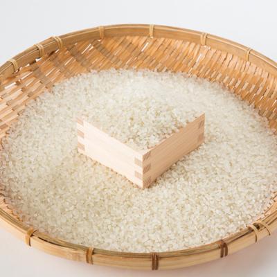 ふるさと納税 富良野市 令和6年　富良野産ゆめぴりか 米 5kg×2袋(合計10kg) |  | 02