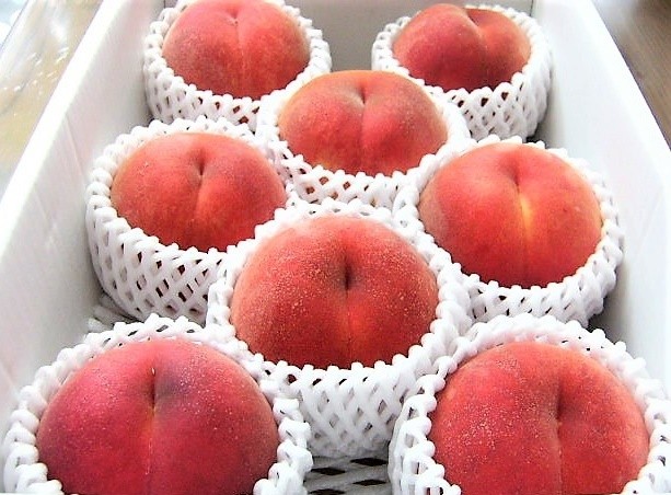 
                  桃（葉取らず桃）２～２.５ｋｇ　0015-2603
                