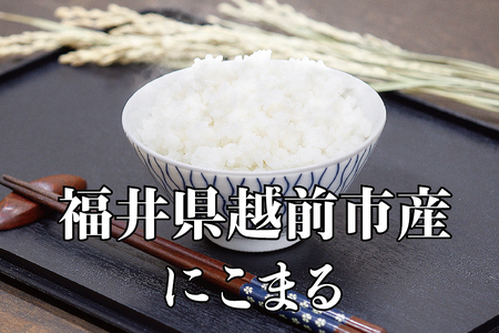 【定期便3回】令和5年度産新米 にこまる 6㎏