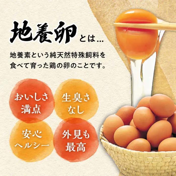 【6回定期便】最高級 卵 地養卵 Mサイズ 40個×6回定期便 長崎県産 西海市 たまご 卵 玉子 タマゴ 鶏卵 オムレツ 卵かけご飯 朝食 料理 人気 卵焼き＜垣山養鶏園＞ [CBB019]