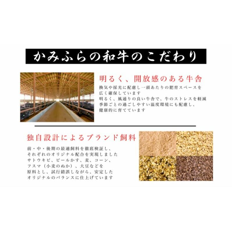 かみふらの和牛サーロインステーキ用 計800g(約200g×4枚） 牛肉  国産 和牛 ステーキ_イメージ4