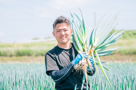 長ネギ 約5kg 約45本 スピード発送 農家直送