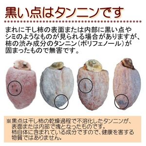 市田柿 贈答用 化粧箱入り 個包装 大粒 15粒 約420g ＜2027年1月上旬～順次発送＞ＪＡみなみ信州ＤＭセンター飯田市 | 長野県 飯田市