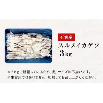 ふるさと納税 石巻市 石巻市産スルメイカゲソ3kg 冷凍 国産 スルメイカ いか イカ イカゲソ ゲソ天 バラ冷凍 宮城県 |  | 03